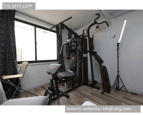 探索体育用品健身器材加盟新机遇开启创业之路助力健康生活方式